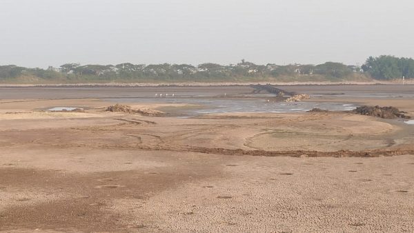 ಯಾರ ಸಲಹೆಯನ್ನು ಕೇಳಿಲ್ಲ
