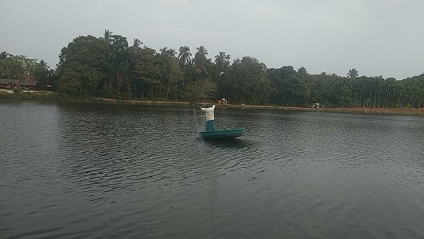 Shivamogga: Water Dogs Playing In The Ganapathi Lake Of Sagara