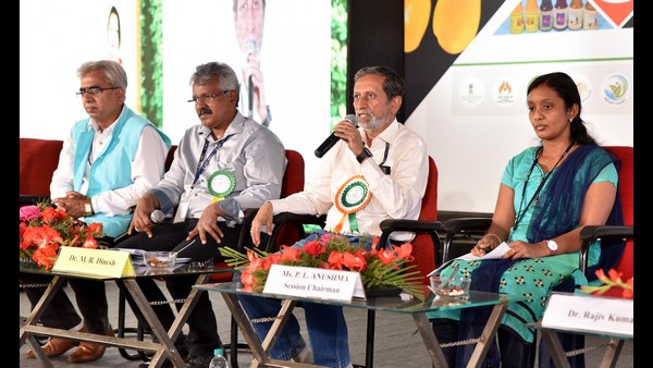 ಹಲಸು ಸಸಿ ದಾಖಲೆ ಮಾರಾಟ