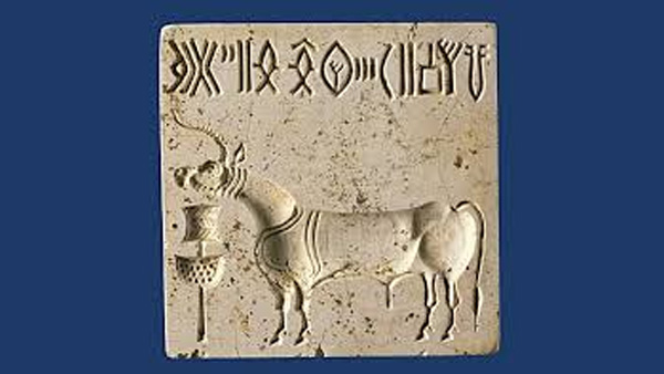 ಹೊಸ ಅನ್ವೇಷಣೆ : 