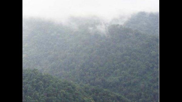 ಗಾಡ್ಗೀಳ್ ವರದಿಯ ದುರ್ಬಲಗೊಳಿಸಿದ ಆವೃತ್ತಿ