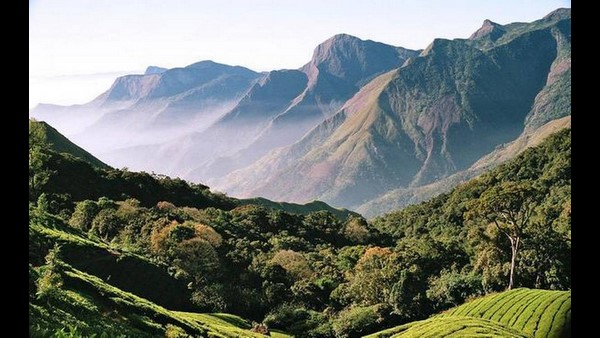 ಅಣೆಕಟ್ಟುಗಳು ಮತ್ತು ಉಷ್ಣ ವಿದ್ಯುತ್ ಸ್ಥಾವರಗಳ ರದ್ದು
