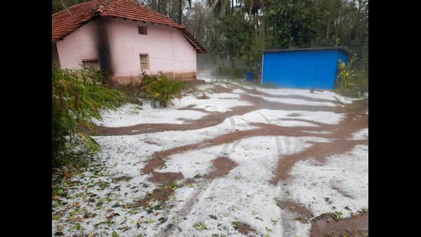 Kodagu: Heavy Rains Hailstorm lash in Shanivarasanthe Kodagu: Heavy Rains Hailstorm lash in Shanivarasanthe