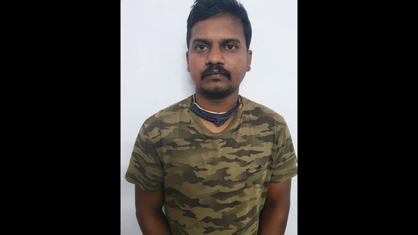 ಸ್ಟೆನೋ ಹಾಗೂ ಸೆಂಟ್ರಿ ಲವ್ : 