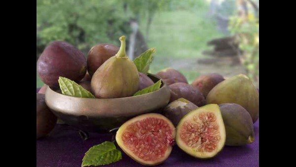 ಮೂಲವ್ಯಾಧಿ ರೋಗಗಳಿಗೂ ರಾಮಬಾಣ