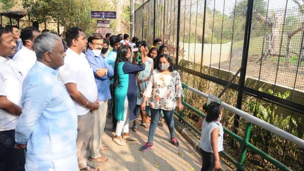 ಹೆಣ್ಣಾನೆ ಸಂತಾನೋತ್ಪತ್ತಿ