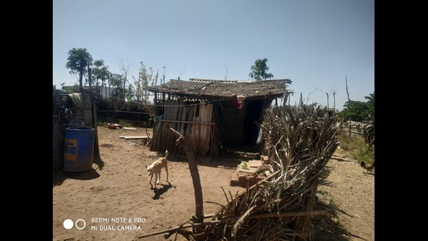 ಶಿಕ್ಷಣದಿಂದ ವಂಚಿತ 