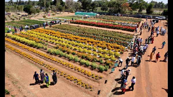 ರೈತ ಗುಂಪು ರಚನೆ ಅಗತ್ಯ 