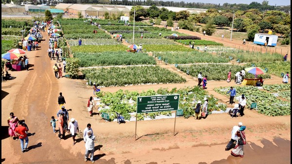 ರೈತರ ಬೆಳೆಗೆ ಬೆಲೆ ನಿಗದಿ ಅಗತ್ಯ 