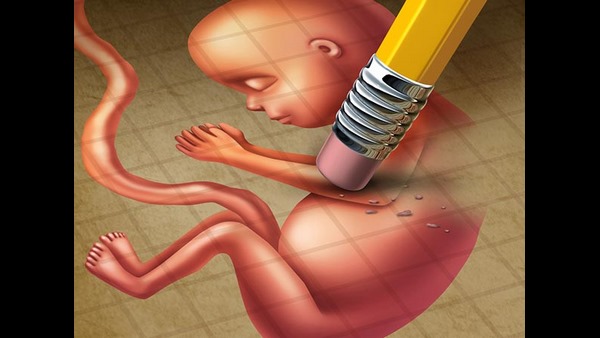 ತಿದ್ದುಪಡಿ ಮಸೂದೆಯ ಅಪಾಯಗಳು