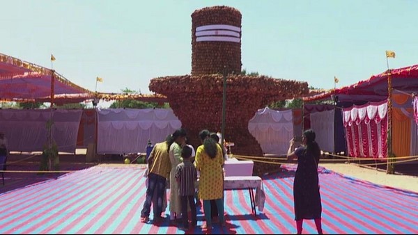 Mysuru: 21-Foot-Tall Coconut Shivalinga Installed For Maha Shivarathri