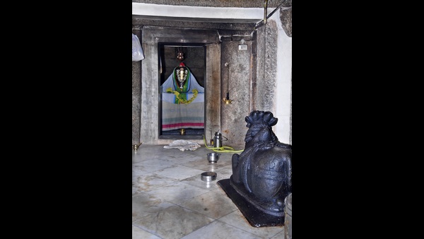 ಮೈಸೂರು ವರದಿ