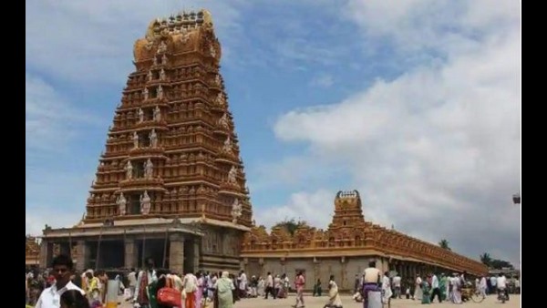 ನದಿಯಿದ್ದರೂ ನೀರಿಲ್ಲದೆ ಒಣಗಿದ ಗಿಡಗಳು