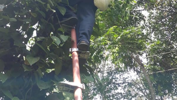 ಅವಘಡ ಹೆಚ್ಚಾಗಿ ಸಂಭವಿಸುತ್ತದೆ