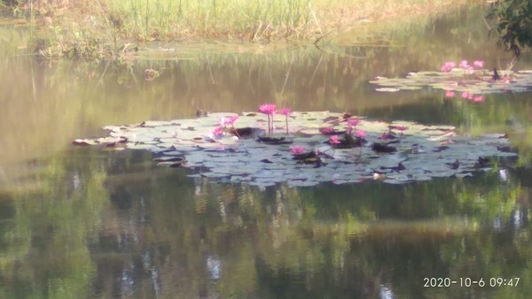 ವರ್ಷವಿಡೀ ನೀರು ಸಂಗ್ರಹಣೆ ವರ್ಷವಿಡೀ ನೀರು ಸಂಗ್ರಹಣೆ