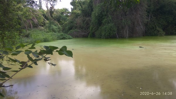 ಜೀವಜಲ ತಾಣ ಮರೆಯಾಗುವ ಸ್ಥಿತಿ ಜೀವಜಲ ತಾಣ ಮರೆಯಾಗುವ ಸ್ಥಿತಿ