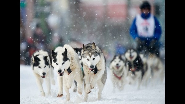 ನದಿ ದಂಡೆಯಲ್ಲಿ ನಾಗರಿಕತೆ ಪಾಠ..! 