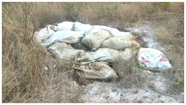 Bird Flu Scare In Davanagere: 7 to 8 Thousand Hen Died In One Week In The District Bird Flu Scare In Davanagere: 7 to 8 Thousand Hen Died In One Week In The District