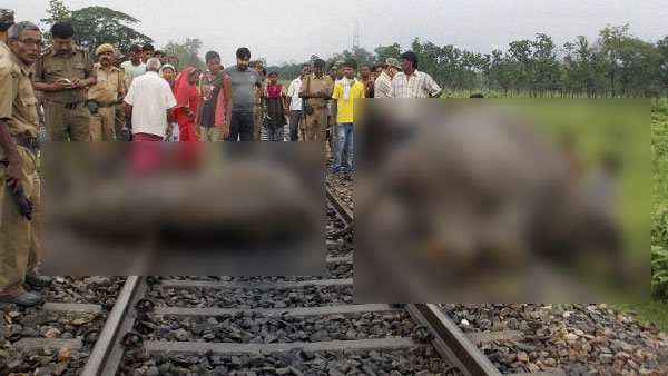ಕುಟುಂಬಕ್ಕಾಗಿ ಪ್ರಾಣ ಬಿಡುವುದು ನಾವಲ್ಲ