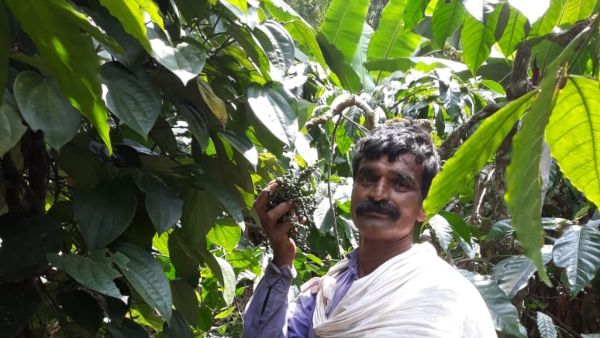 ಗಂಭೀರವಾಗಿ ಪರಿಗಣಿಸದೆ ಅವಘಡ