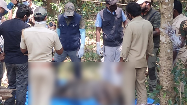 Forest Officials Recovers Carcass Of A Tiger Near Nagarhole Tiger Reserve In Kodagu