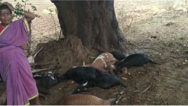 ಬೆಳಗ್ಗೆಯಿಂದಲೂ ಮೋಡಕವಿದ ವಾತವರಣ