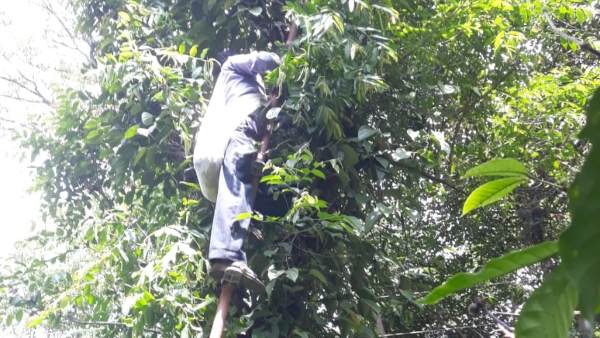ಮೂವತ್ತೆಂಟಕ್ಕೂ ಹೆಚ್ಚು ಮಂದಿ ಬಲಿ
