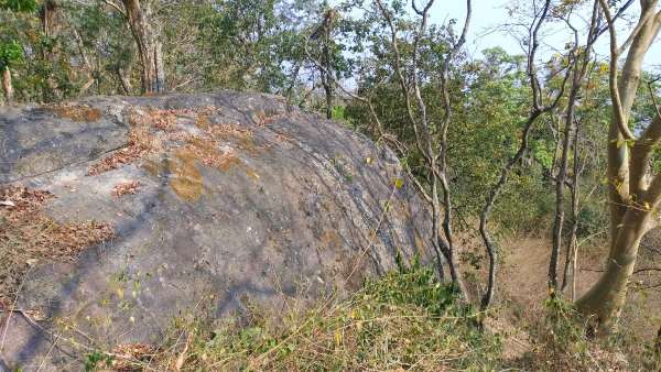 kodagu