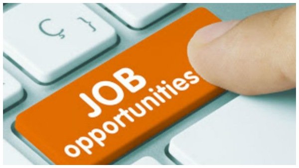 Apply For Government Lawyer Post In Chincholi Apply For Government Lawyer Post In Chincholi