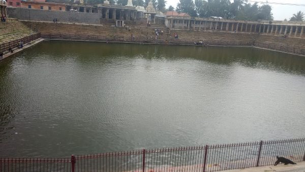 ಕಣ್ಮನ ಸೆಳೆಯುವ ಕಲ್ಯಾಣಿಗಳು