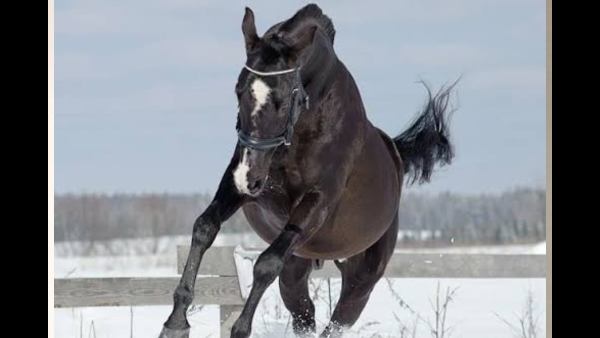 Queen Latifa drugged case : five persons acquitted by the court