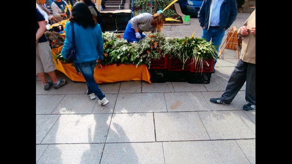 Barcelona Memories Column By Rangaswamy Mookanahalli Part 24