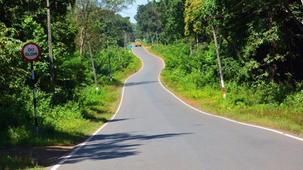 ಪ್ರವಾಸೋದ್ಯಮ, ಉನ್ನತ ಶಿಕ್ಷಣ, ತೋಟಗಾರಿಕೆ