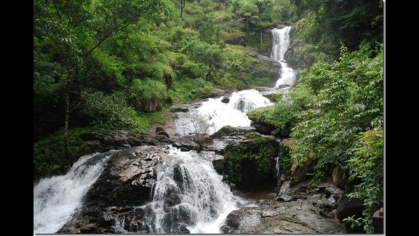 ಶ್ರೀರಾಮನ ಗಮನಸೆಳೆದ ಇರ್ಪು ಶ್ರೀರಾಮನ ಗಮನಸೆಳೆದ ಇರ್ಪು
