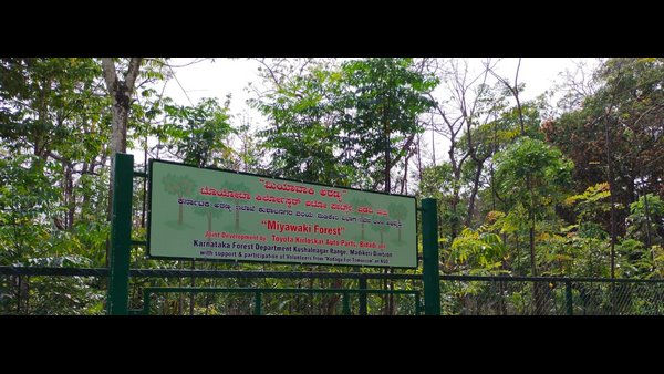 ಡಾ.ಅಕಿರ ಮಿಯಾವಕಿ ಅವರ ಆವಿಷ್ಕಾರ