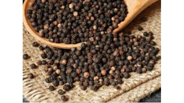 ಅಡಿಕೆ - ಕಾಳುಮೆಣಸು ಸಂಸ್ಕರಣಾ ಘಟಕ