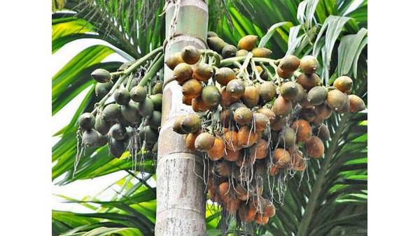 ರೈತರನ್ನು ಸಂಕಷ್ಟದಿಂದ ಪಾರು ಸಂಸ್ಥೆಯ ಚಿಂತನೆ