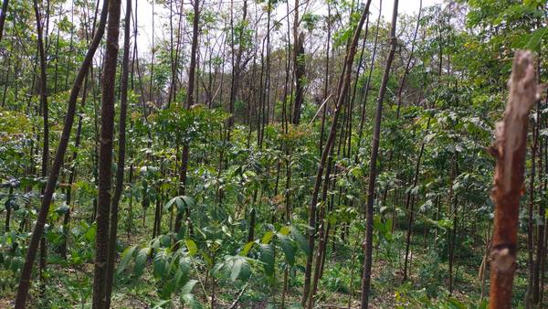 ಭೂಕುಸಿತ ಆಗುವುದಿಲ್ಲ