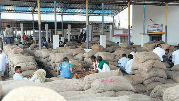 Gujarat APMC Closed Due To Coronavirus Surge Gujarat APMC Closed Due To Coronavirus Surge