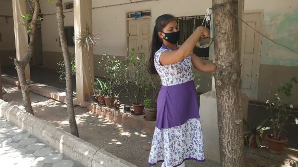 ಸ್ವಯಂ ಹಣ ಸಂಗ್ರಹಣೆ ಸ್ವಯಂ ಹಣ ಸಂಗ್ರಹಣೆ