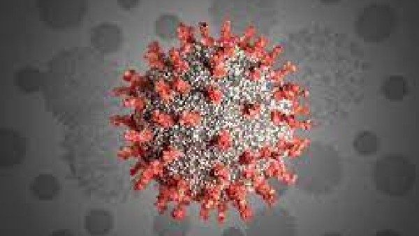 ಕೊರೊನಾವೈರಸ್ ರೂಪಾಂತರ ತಳಿ? 