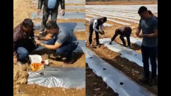 ಸಾವಯವ ಕೃಷಿ ಸಾವಯವ ಕೃಷಿ