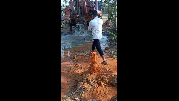 Nagaradane Old Borewell Recharged In Bantwal 