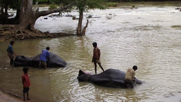 ಒಬ್ಬ ಪೇದೆಯ ನೇಮಕ