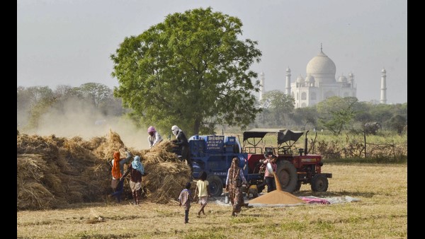Agriculture Products Export Increased Inbetween Pandemic