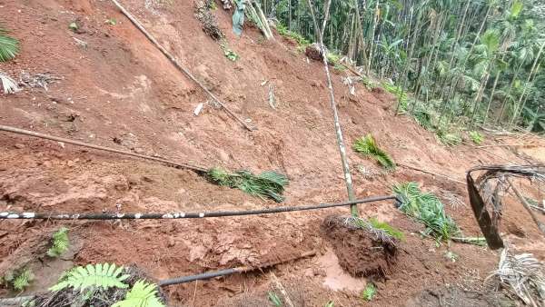 ವರದಿ ಮುಖ್ಯಾಂಶಗಳು