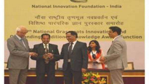 Kota farmer develops mango variety that bears fruits round the year 