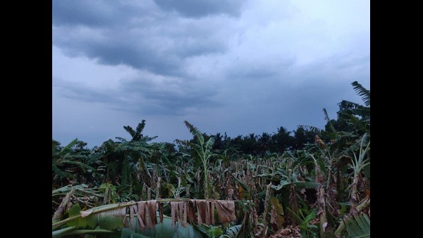  ಯಾವ ಜಿಲ್ಲೆಗಳಲ್ಲಿ ಮಳೆಯಾಗಲಿದೆ? 