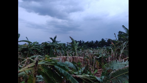 Heavy Rains With A Storm In Ramanagara District On April 15