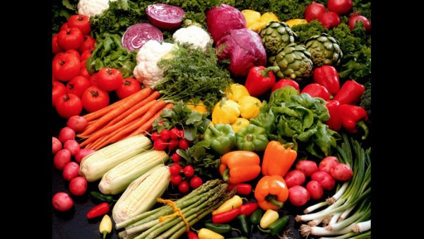  ಸಸ್ಯಾಹಾರಿಗಳಿಗೆ ಶೀಘ್ರವಾಗಿ ವೈರಸ್ ಅಂಟುವುದಿಲ್ಲ